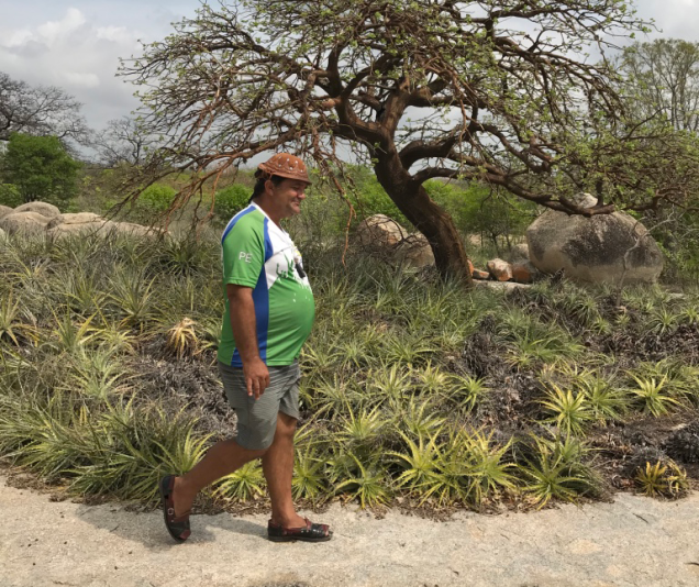 Jorge Leite, de alpercata xô boi e chapéu de vaqueiro, passeando perto de macambiras e de um pé de mulungu, na Lagoa do Pedrosa.