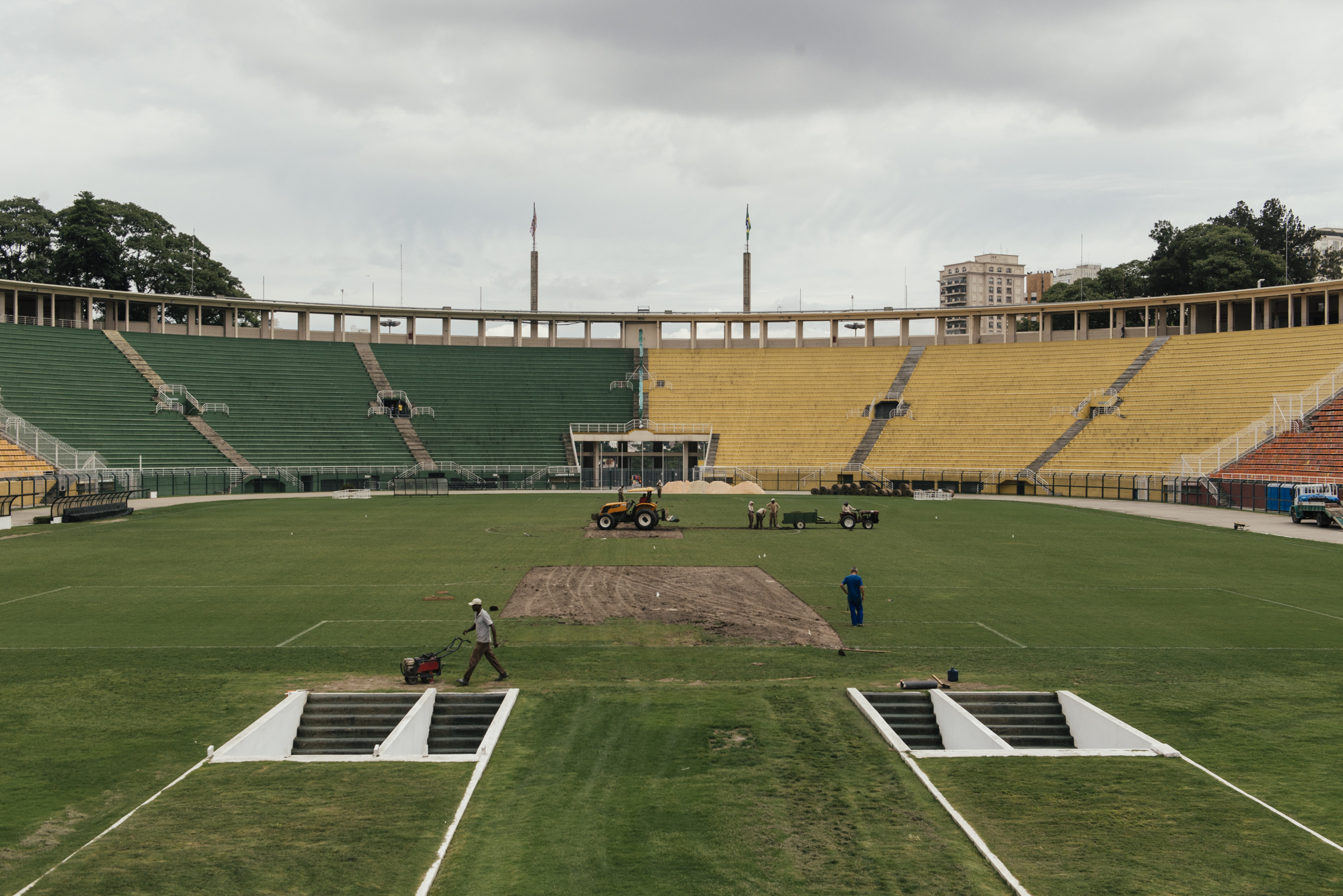 paca_04 -