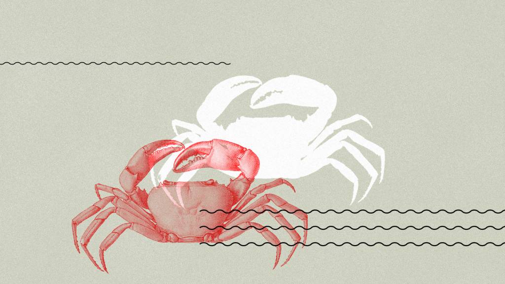 Histórias do reggae: Melô do Caranguejo