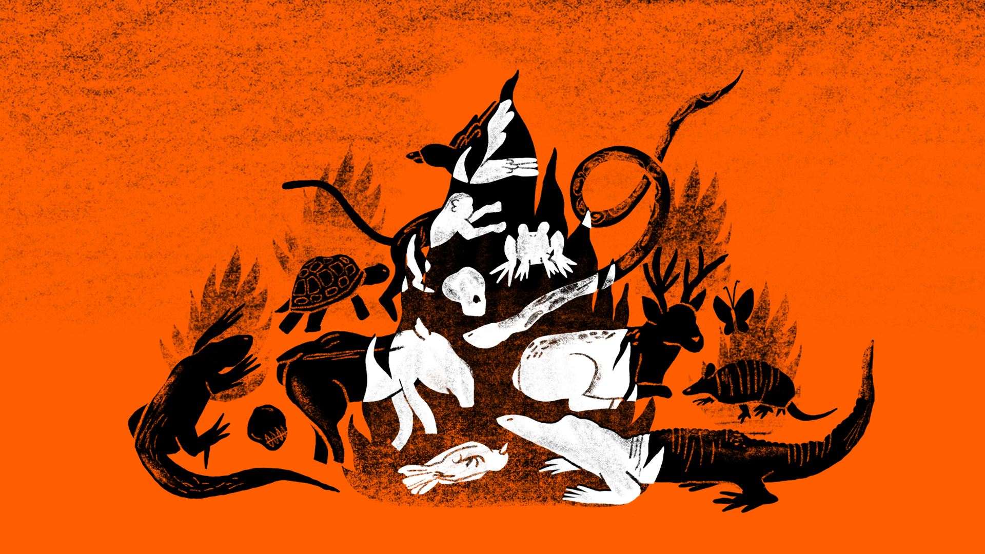 Extinção pelo fogo