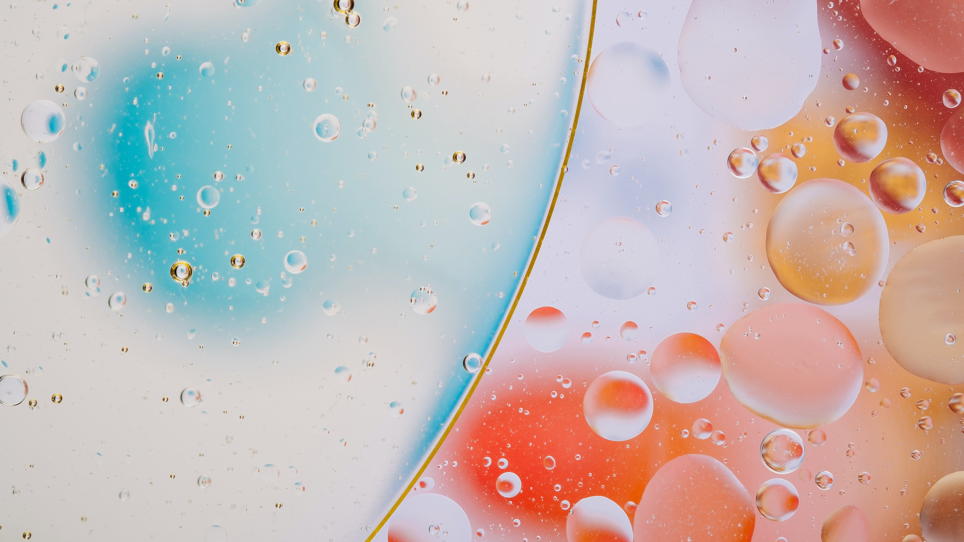 rodion-kutsaev-33ClzoZe_xM-unsplash -