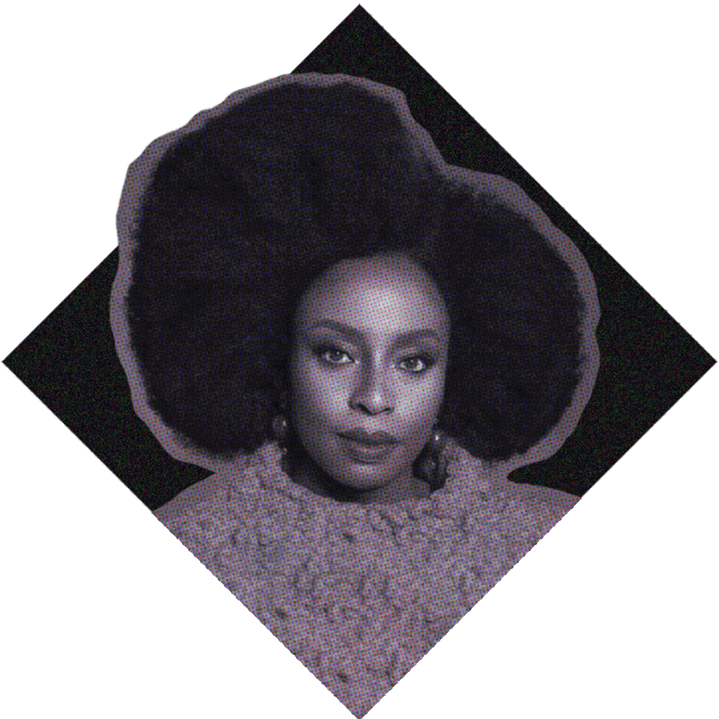 retrato de chimamanda