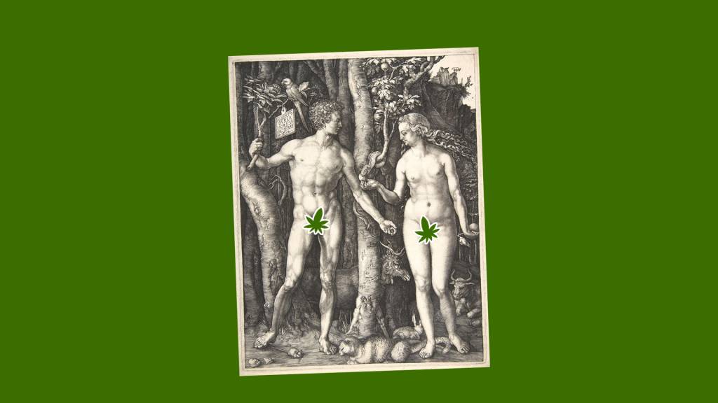 Lubrificantes canábicos: aprenda a fazer o seu