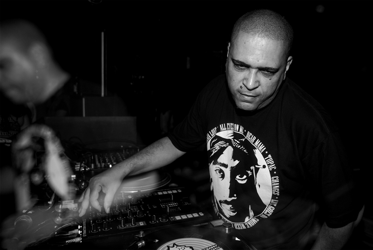 suny-pitbull-3 -
