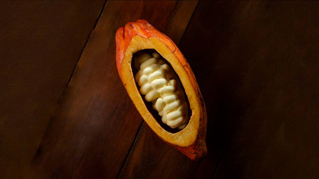 Muito pano pra Manga