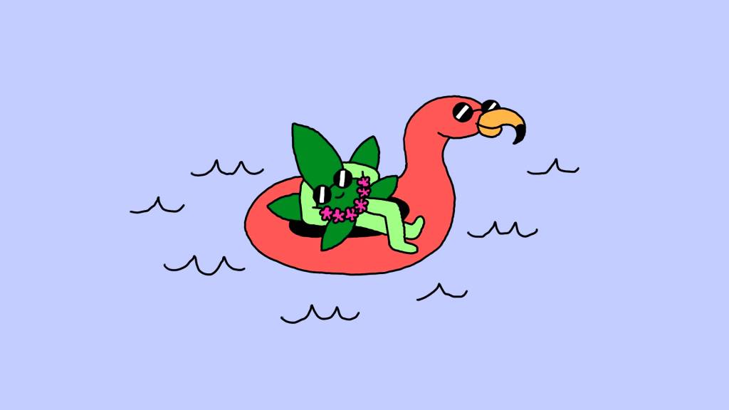 De férias da maconha