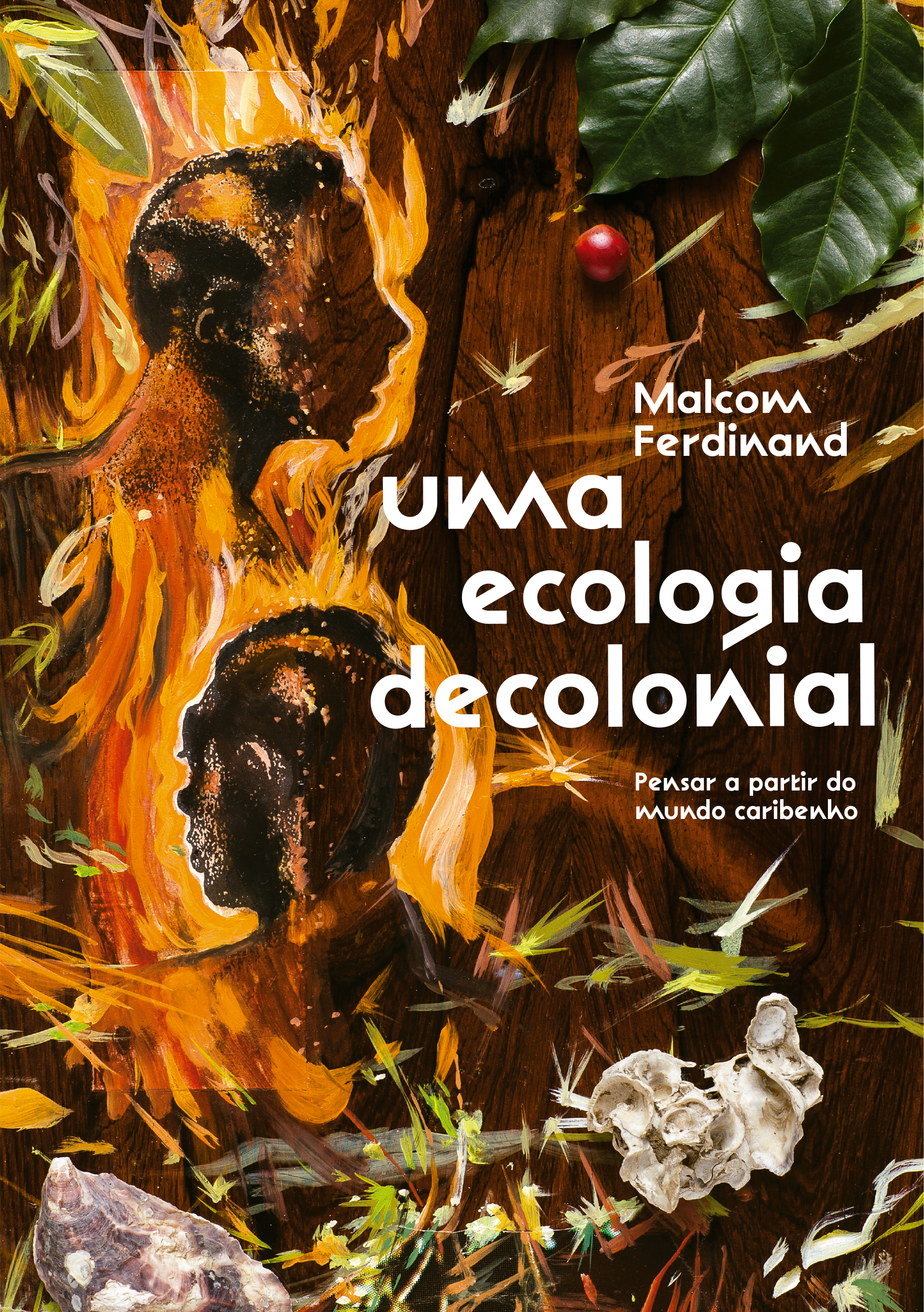 capoa do livro uma ecologia decolonial