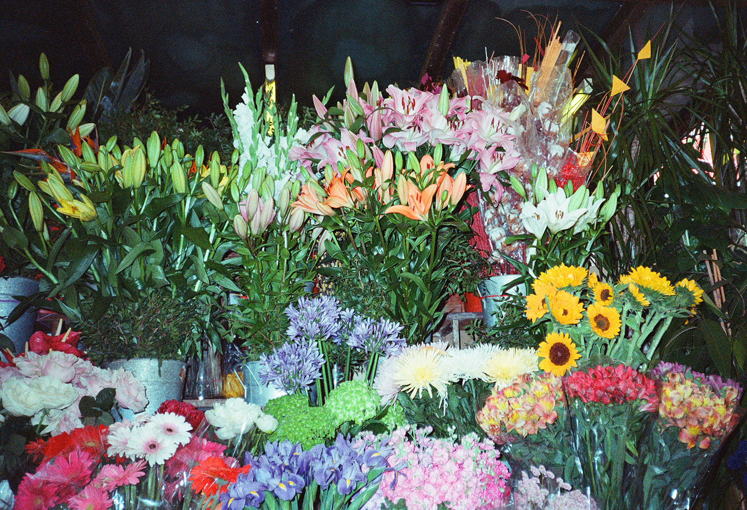fotos de flores no Mercat de la Boquería