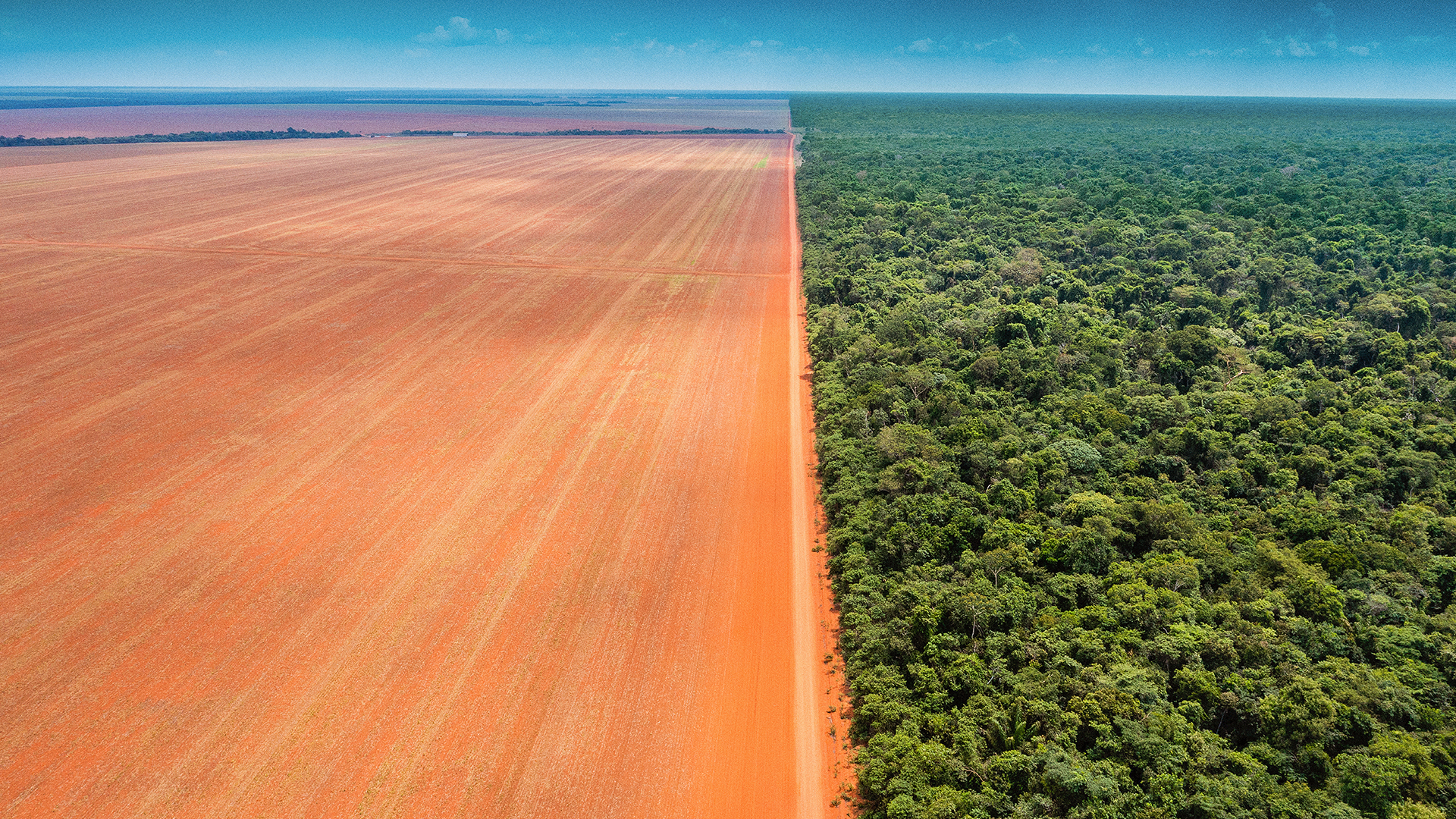 Plantação de soja na divisa da Terra Indígena Wawi.