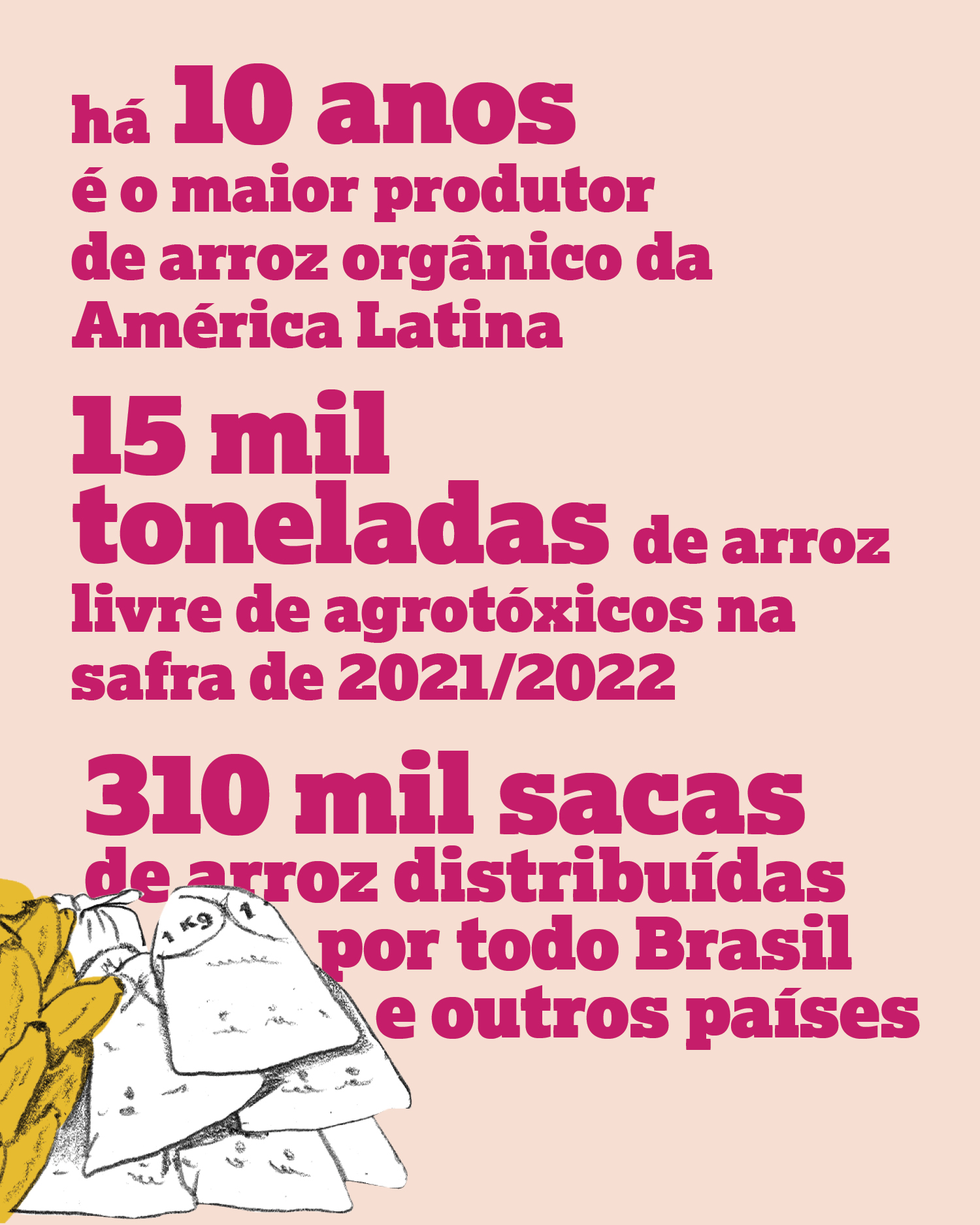 há 10 anos é o maior produtor de arroz orgânico da América Latina 15 mil toneladas de arroz livre de agrotóxicos na safra de 2021/2022 310 mil sacas de arroz distribuídas por todo Brasil e outros países